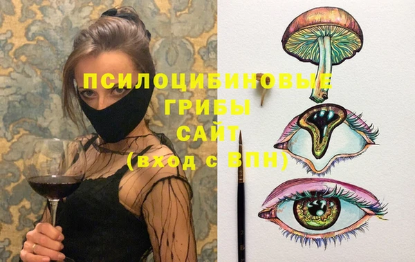 2c-b Белокуриха
