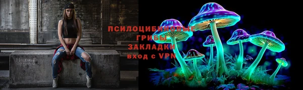 2c-b Белокуриха