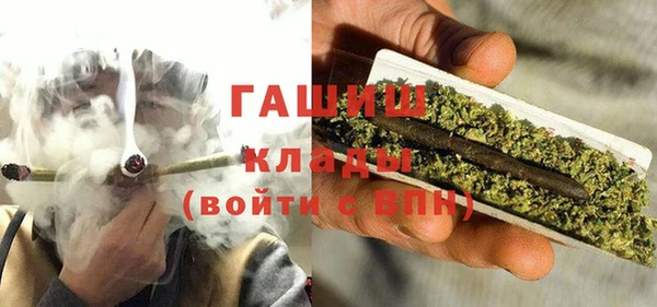 индика Пестово